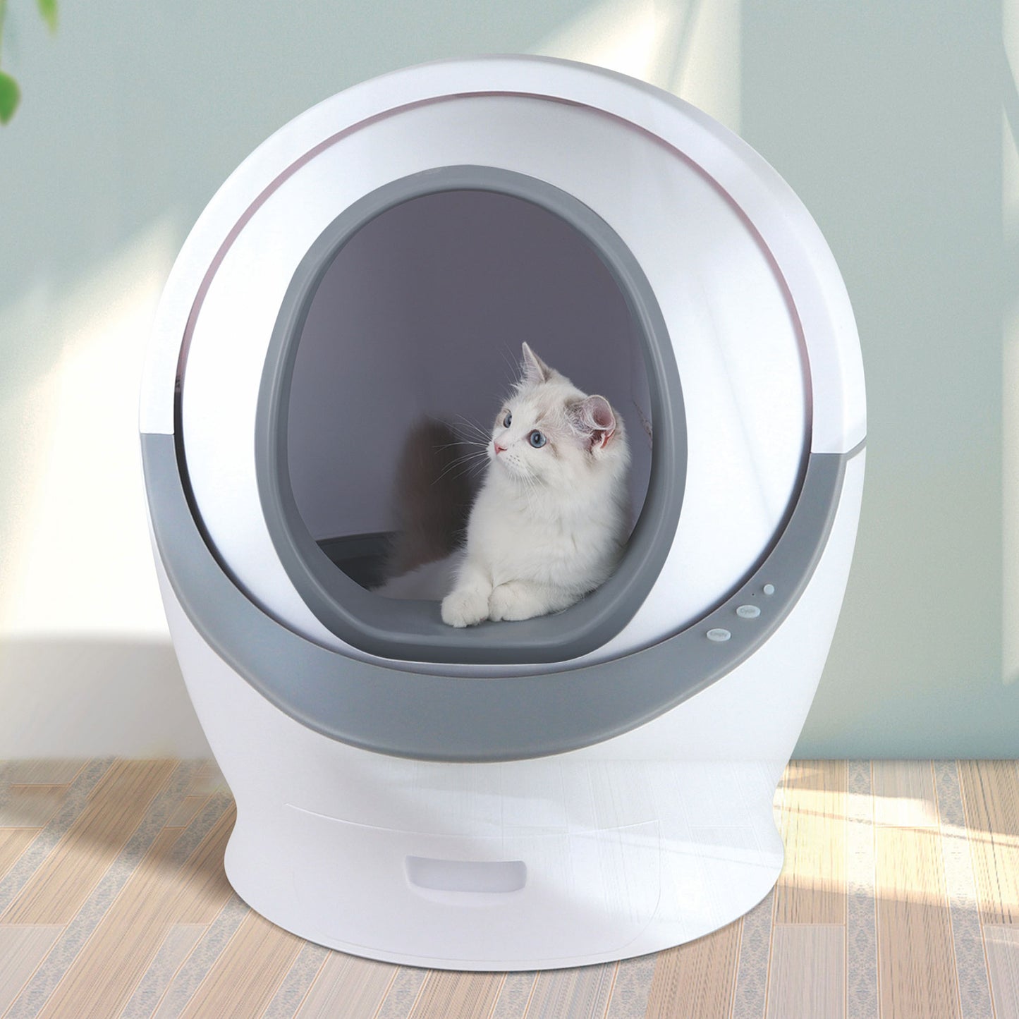 Self Cleaning Cat Litter Box