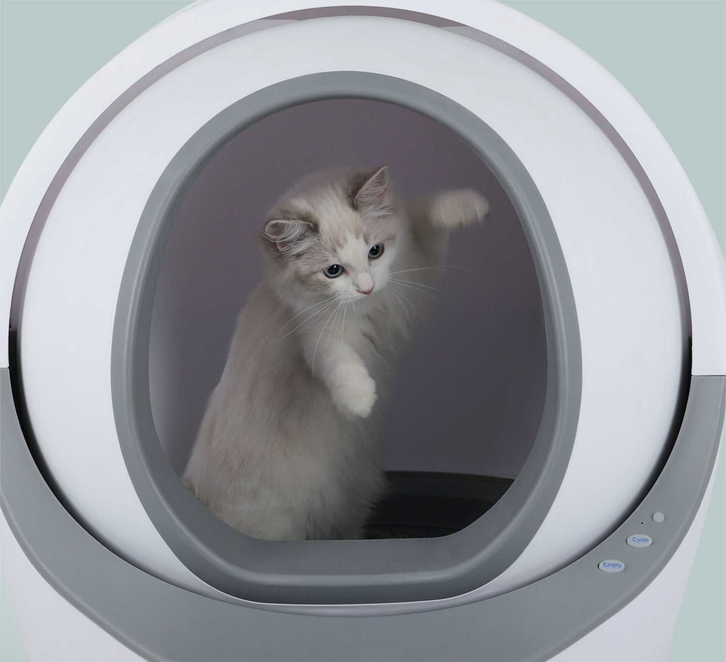 Self Cleaning Cat Litter Box